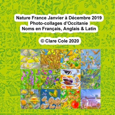 Picture of Nature France Janvier à Décembre 2019