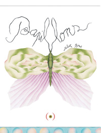 Picture of Papillons