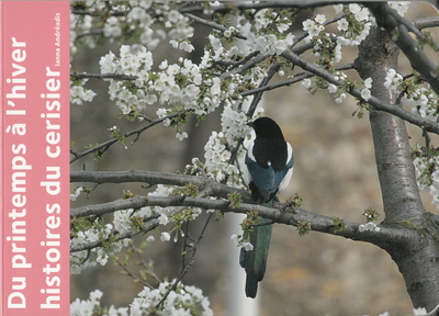 Image de Du printemps à l'hiver