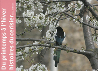 Image de Du printemps à l'hiver