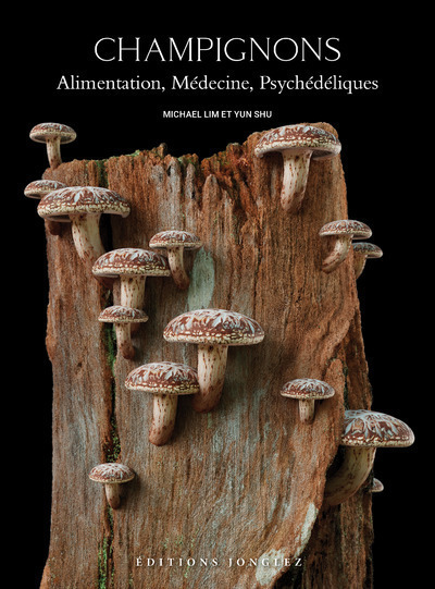 Image de Champignons - alimentation, médecine, psychédéliques