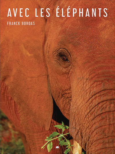 Image de Avec les éléphants