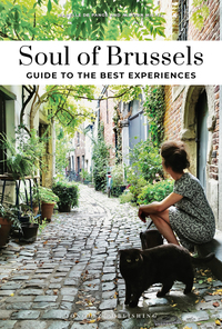 Picture of Soul of Brussels - A guide to the best experiences