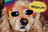 Picture of Waouh !