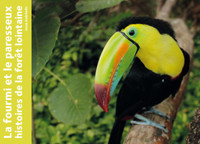 Picture of La fourmi et le paresseux