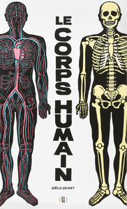 Image de Le corps humain