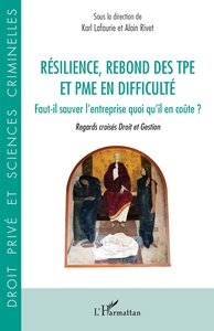 Picture of Résilience, rebond des TPE et PME en difficulté