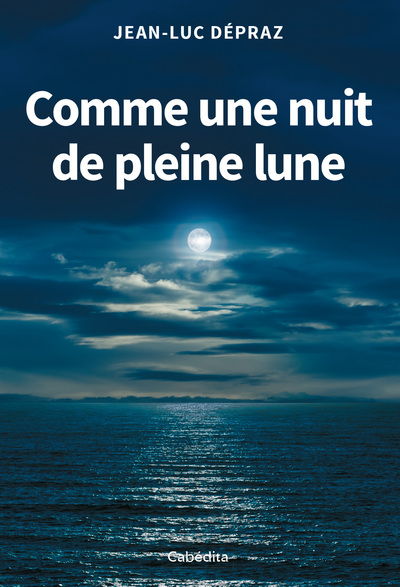 Picture of COMME UNE NUIT DE PLEINE LUNE