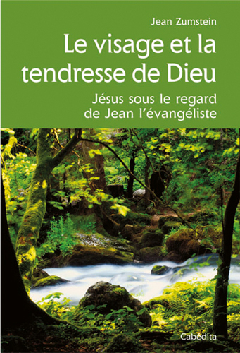 Picture of LE VISAGE ET LA TENDRESSE DE DIEU