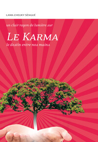 Image de Le Karma - Le destin entre nos mains