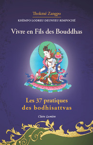 Image de Vivre en fils des Bouddhas - Les 37 pratiques des Bodhisattvas