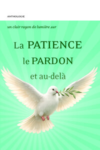 Image de La Patience - Le Pardon et au-delà