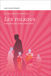 Image de Les Tulkous - Le mystère des lamas réincarnés