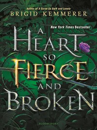 Image de A Heart So Fierce and Broken