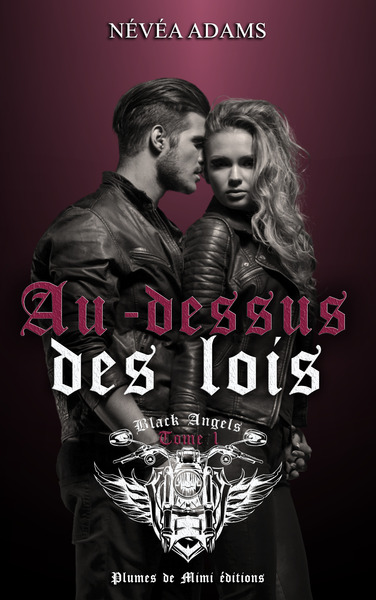 Picture of Au-dessus des lois - tome 1