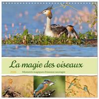Picture of La magie des oiseaux (Calendrier mural carré 2026 30x30 cm) Calendrier double avec une page pour vos prises de notes