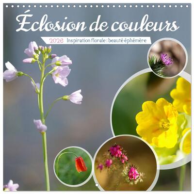 Picture of Éclosion de couleurs (Calendrier mural carré 2026 30x30 cm) Calendrier double avec une page pour vos prises de notes