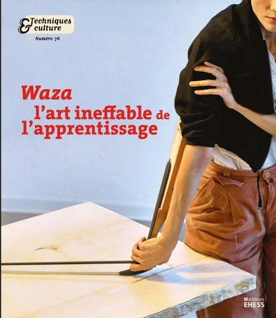 Image de Waza. L'art ineffable de l'apprentissage