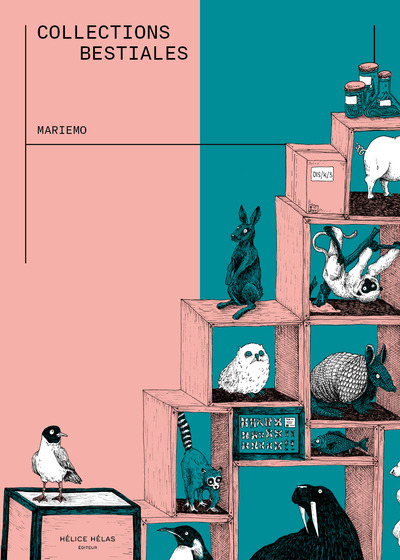 Image de Collections bestiales