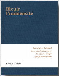 Picture of Bleuir l'immensité