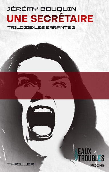 Picture of UNE SECRETAIRE (POCHE)