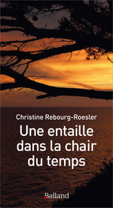 Picture of UNE ENTAILLE DANS LA CHAIR DU TEMPS