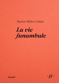 Image de La vie funambule