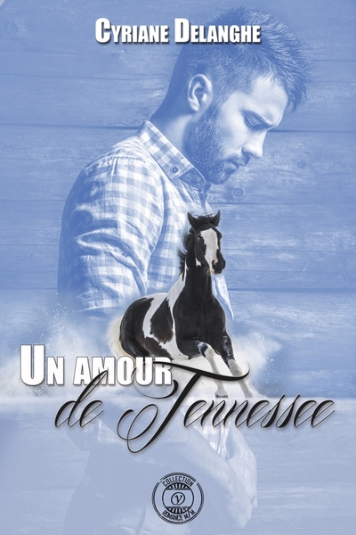 Picture of Un amour de Tennessee