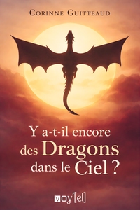 Picture of Y a-t-il encore des dragons dans le ciel ?