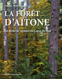 Image de La forêt d'Aïtone