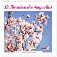Image de La floraison des magnolias (Calendrier mural carré 2026 30x30 cm) Calendrier double avec une page pour vos prises de notes