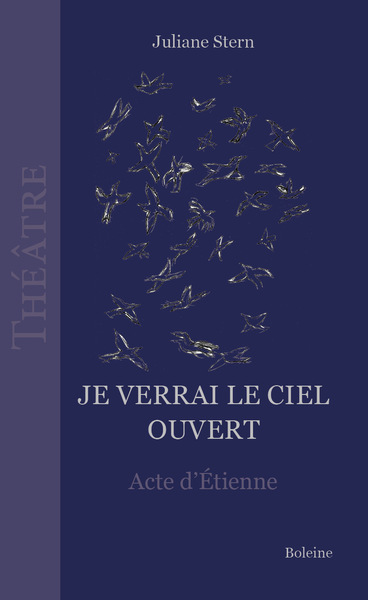 Image de Je verrai le ciel ouvert