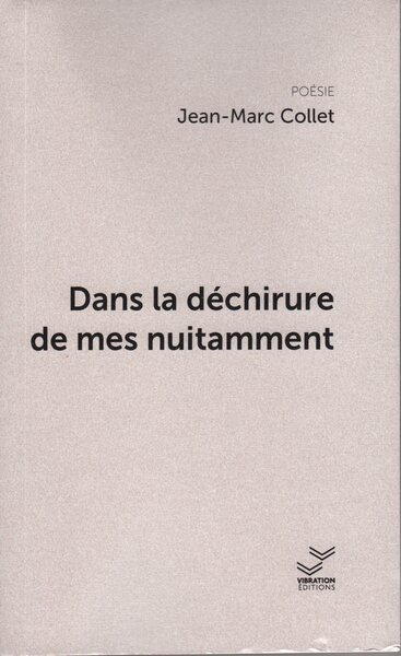 Picture of Dans la déchirure de mes nuitamment