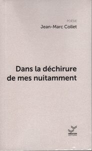 Picture of Dans la déchirure de mes nuitamment