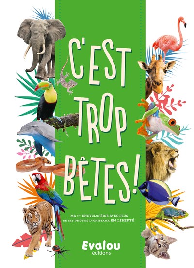Image de C'est trop bêtes!