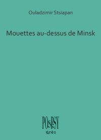 Picture of Mouettes au-dessus de Minsk