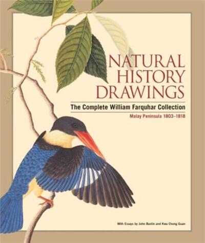 Picture of Natural History Drawings /anglais