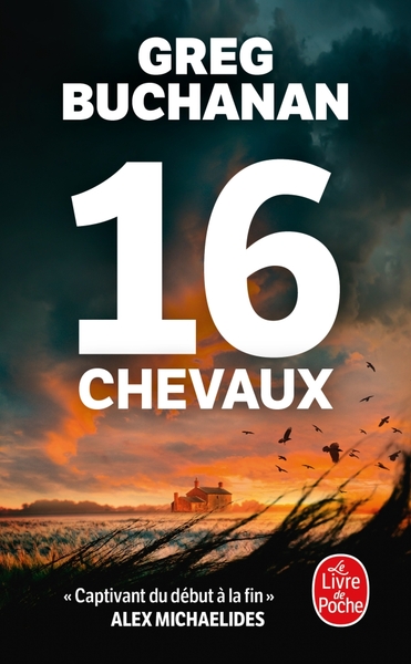 Picture of 16 chevaux