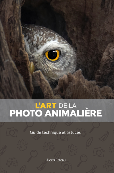 Picture of L'art de la photo animalière
