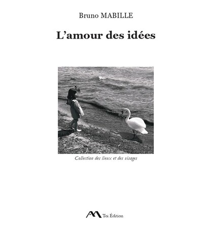 Picture of l'amour des idées