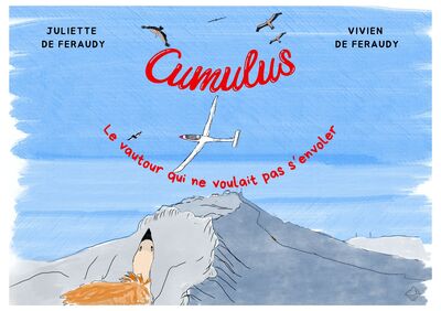Image de Cumulus, le vautour qui ne voulait pas s'envoler