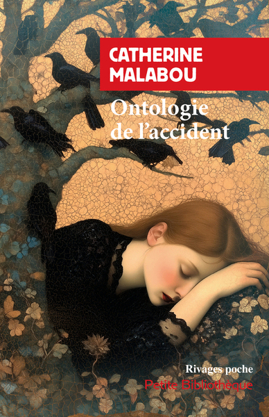 Image de Ontologie de l'accident
