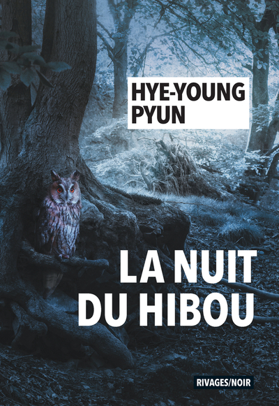 Image de La nuit du hibou