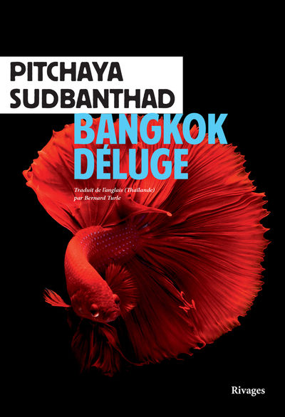 Picture of Bangkok Déluge