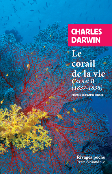 Picture of Le corail de la vie