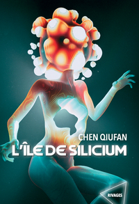 Picture of L'île de Silicium