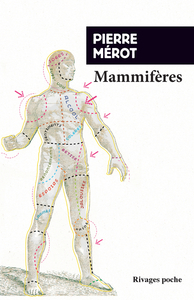 Image de Mammifères