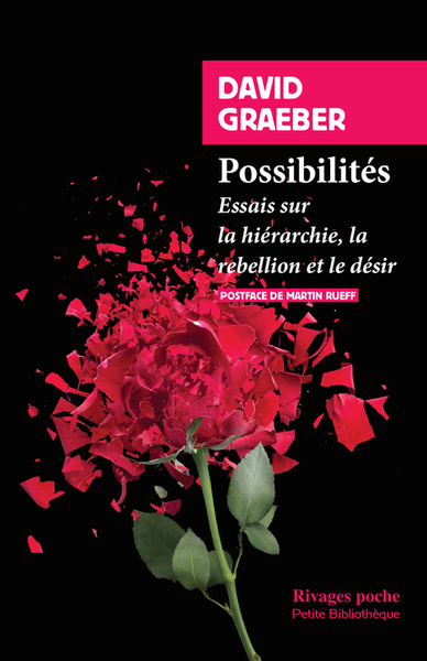 Picture of Possibilités