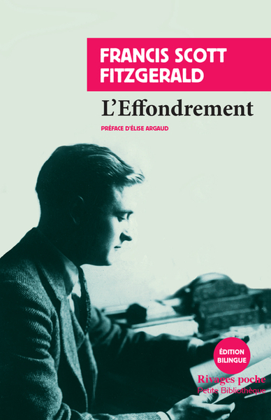 Picture of L'effondrement