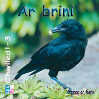 Image de Ar brini